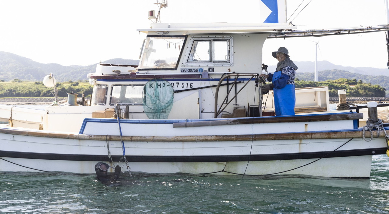 ウニの素潜り漁